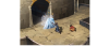 h.png h.png