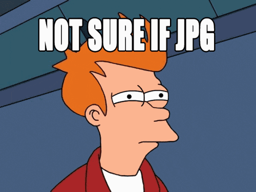 giphy.gif