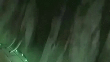 TA5lNSn.gif
